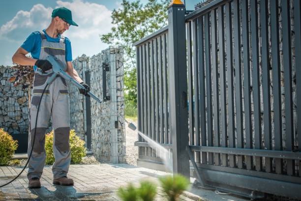 Boat and Dock Cleaning in Chocowinity, NC