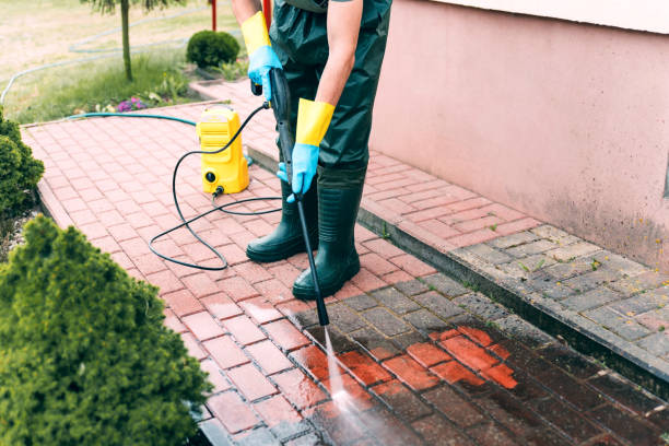 Best Gutter Cleaning  in Chocowinity, NC