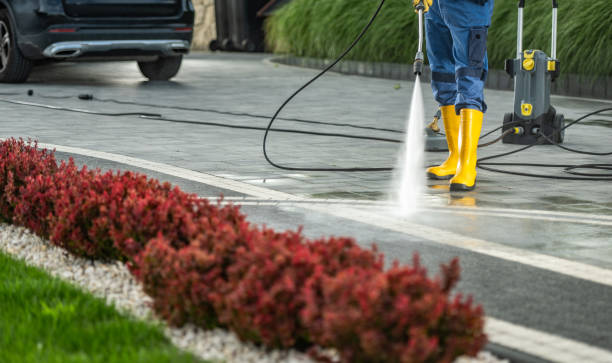 Best Driveway Pressure Washing  in Chocowinity, NC